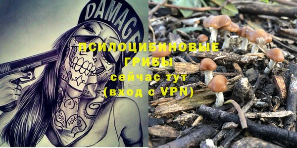 spice Балабаново