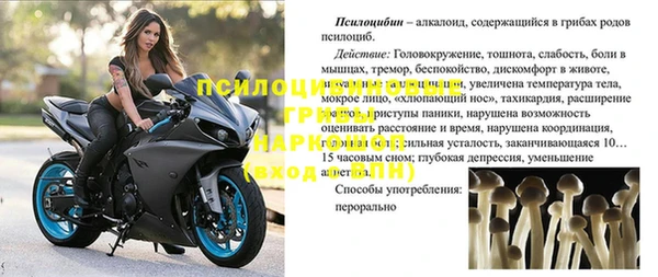 мяу мяу мука Новозыбков